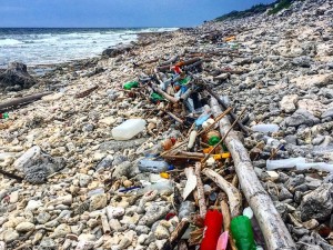 Beach litter