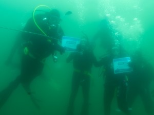 Hamden Scuba #Divers4SharksNRays