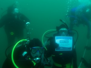 Hamden Scuba #Divers4SharksNRays