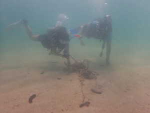 First Dive - Ropes