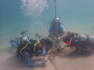 Second Dive - Ropes and string