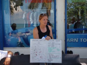 Briefing the divers