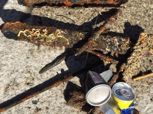 Some of the items found under the pier