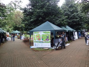 A brief look of the festival venue