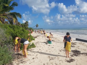 Beach Clean