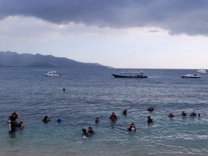 Divers entering the water for a quick Dive Against Debris