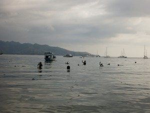 Snorkelers at the surface