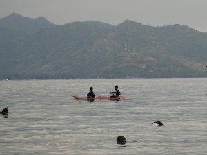 Staff on kayaks helping the cause