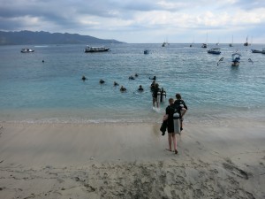 Divers entering the water for a quick Dive Against Debris