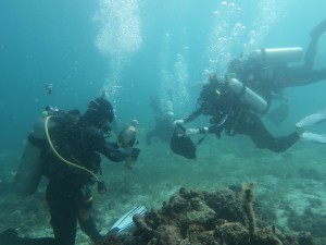 divelab house reef