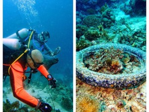 The tyre was left as it had coral growth and was used as a navigational tool for local divers