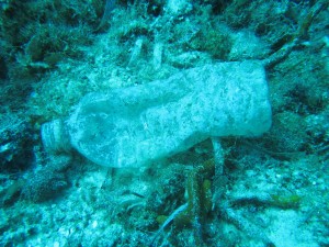 Bottle on Canterell Shallows