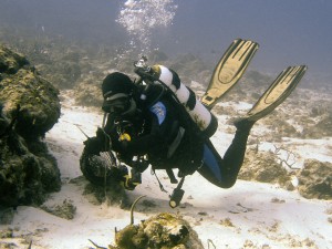 Ken picking up debris