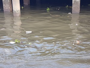 Chao phraya river 