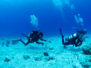 Denise and Jeff on a clean up dive