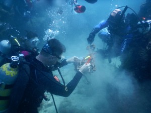 Dive against debris at Tanziwan Harbor Taiwan