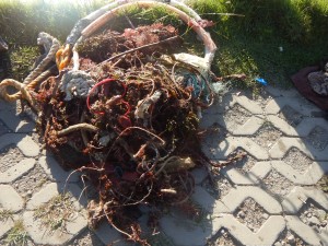 Dive against debris at Tanziwan Harbor Taiwan