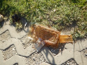 Dive against debris at Tanziwan Harbor Taiwan