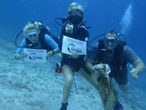 Divers in the action dive 