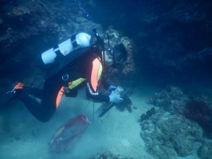 Dive against debris at Tanziwan Harbor Taiwan