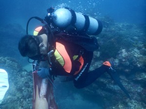 Dive against debris at Tanziwan Harbor Taiwan