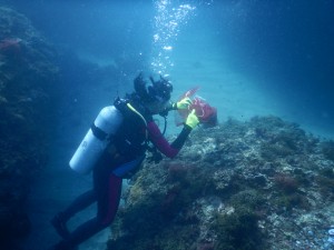 Dive against debris at Tanziwan Harbor Taiwan