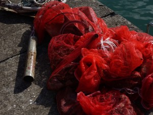 Dive against debris at Tanziwan Harbor Taiwan