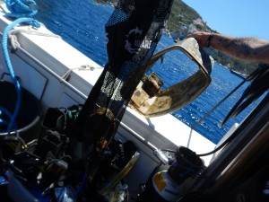 Dive Against Debris Isola di Ponza 