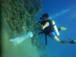 bag and diver