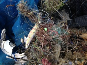 Fishing line from under Mordialloc pier