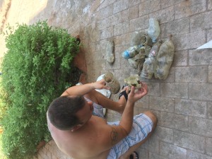 counting plastic bottles