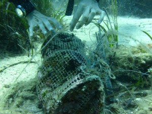 Dive Against Debris Isola di Ponza 