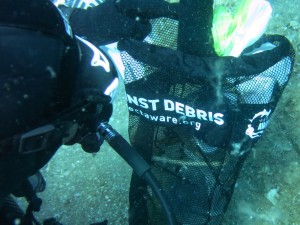 Dive Against Debris Isola di Ponza 