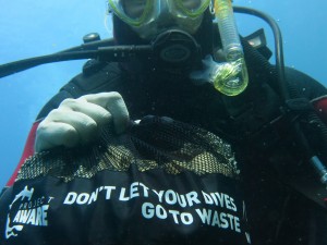 Dive Against Debris Isola di Ponza 