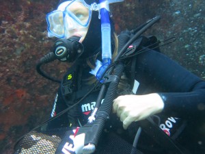 Dive Against Debris Isola di Ponza 