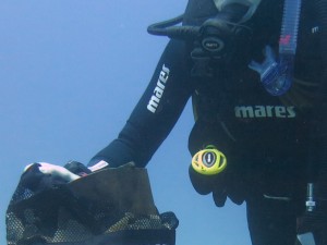 Dive Against Debris Isola di Ponza 