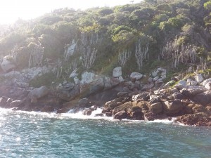 Praia dos Porcos, Arraial do Cabo