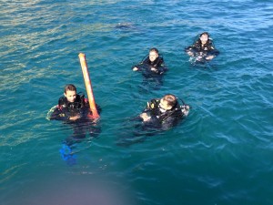 Group diving during the open water course