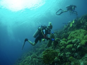 Ocean Encounters Clean up dive Curacao