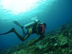 Ocean Encounters Clean up dive Curacao