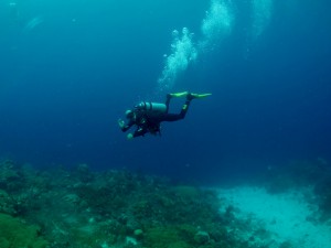 Ocean Encounters Clean up dive Curacao