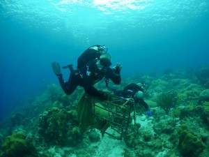 Ocean Encounters Clean up dive Curacao