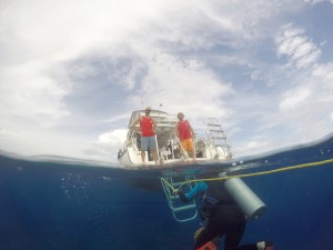 Ocean Encounters Clean up dive Curacao