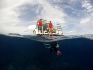 Ocean Encounters Clean up dive Curacao