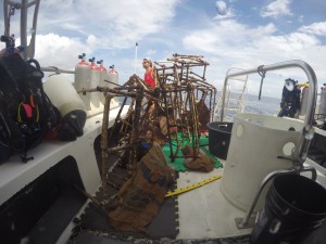 Ocean Encounters Clean up dive Curacao