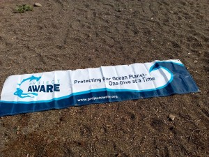 #Dive Against Debris in Adopt a Dive Site 3° edizione 2017- Dive Against Debris in Adopt a Dive Site 3° edition 2017