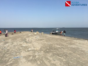 Bundal Island - shore clean up