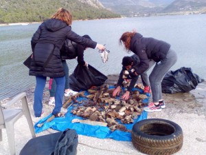 ADS137 - Vouliagmeni Lake Loutraki 14/1/2017