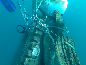 Loutraki Dive Club Isthmia Loutraki Greece 21/1/2017