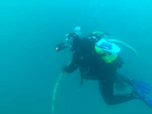 Loutraki Dive Club Isthmia Loutraki Greece 21/1/2017